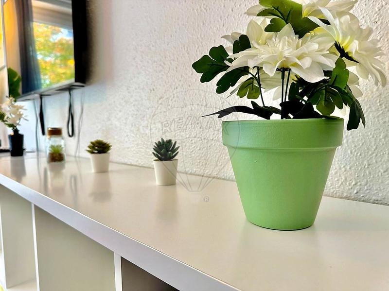 Appartement - 28 m² - 1 pièce