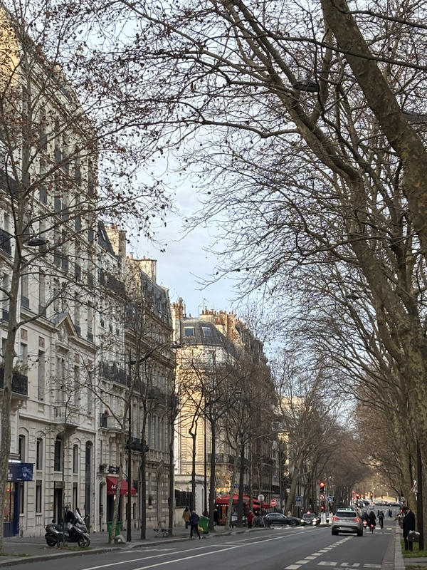 Local commercial - 50 m² - 3 pièces