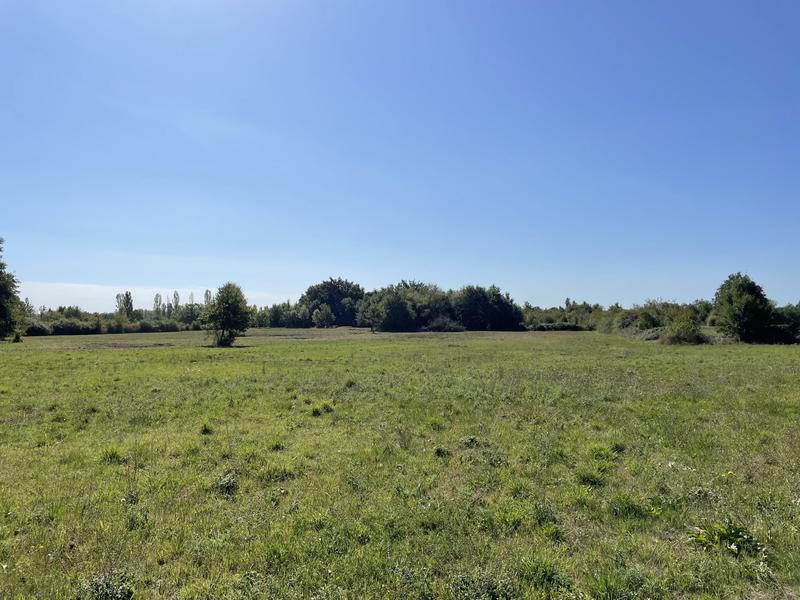 Terrain - 5 209 m²