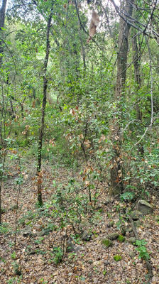 Terrain agricole - 4 390 m²