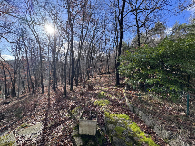 Maison - 148 m² - 5 pièces