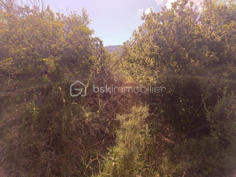 Terrain agricole - 12 490 m²