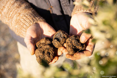 Marché aux Truffes de Souillac