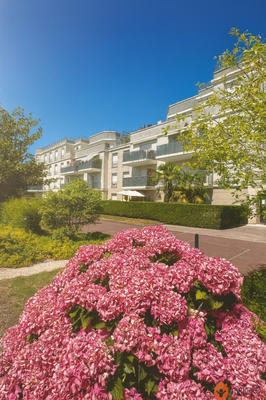 Appartement - 77 m² - 4 pièces