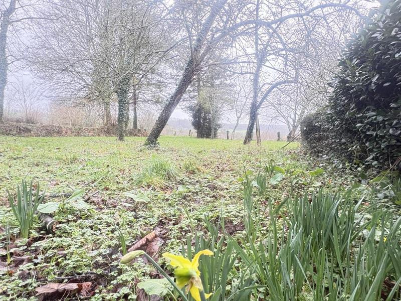 Longère - 106 m² - 5 pièces