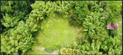 Terrain constructible - 6 130 m²