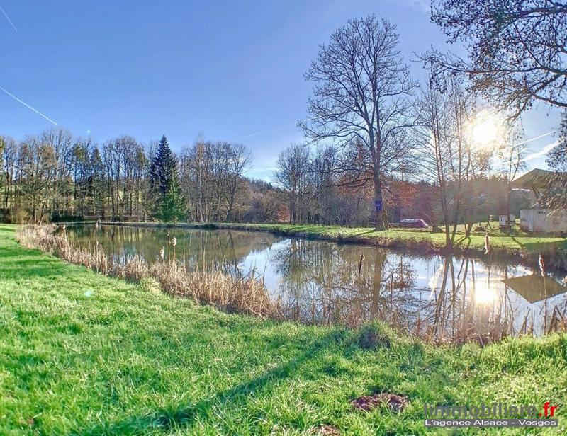 Maison - 230 m² - 11 pièces