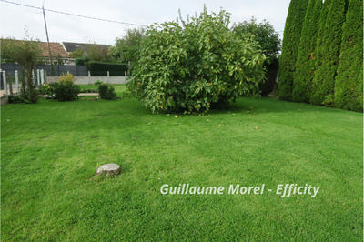 Terrain - 464 m²