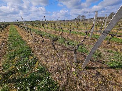 Terrain agricole - 58 343 m²