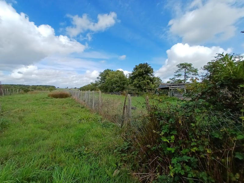 Maison - 116 m² - 5 pièces