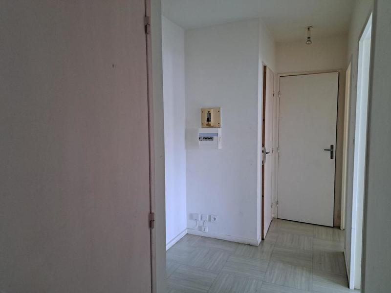Appartement - 53 m² - 2 pièces
