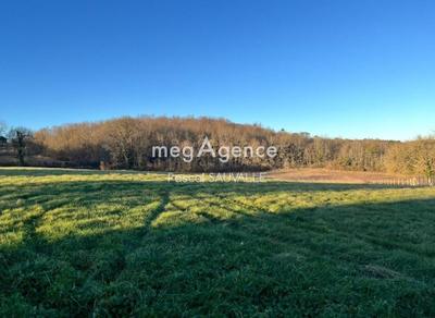 Terrain constructible - 3 000 m²