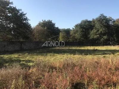 Bureau - 600 m² - 16 pièces