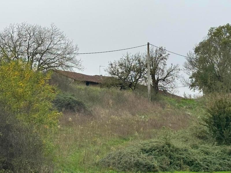 Terrain - 98 000 m²