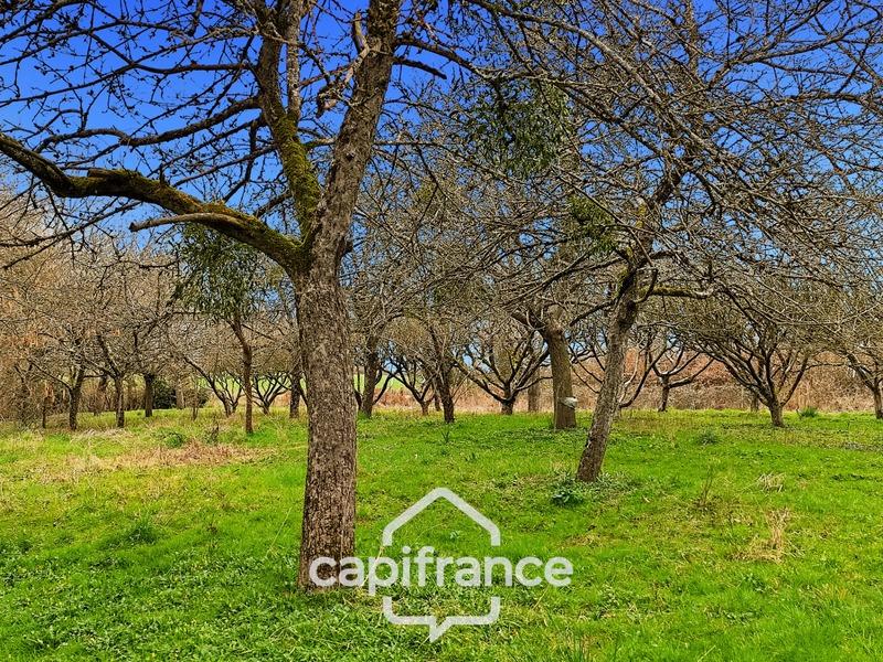 Maison - 60 m² - 2 pièces