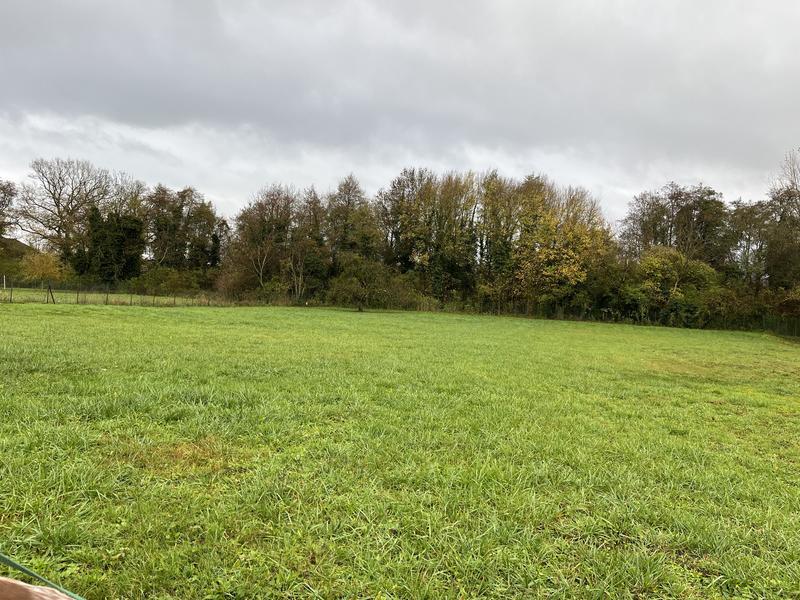 Terrain constructible - 2 600 m²