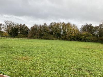 Terrain constructible - 2 600 m²