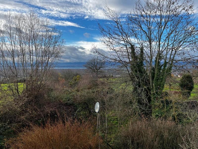 Maison - 450 m² - 10 pièces