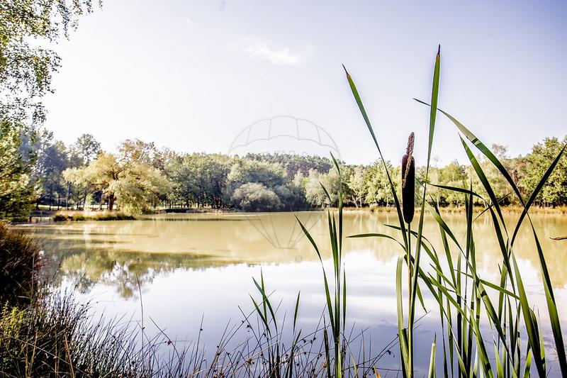 Propriété - 262 m² - 10 pièces