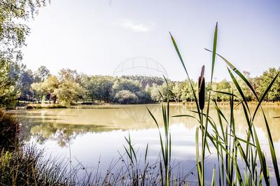 Propriété - 262 m² - 10 pièces