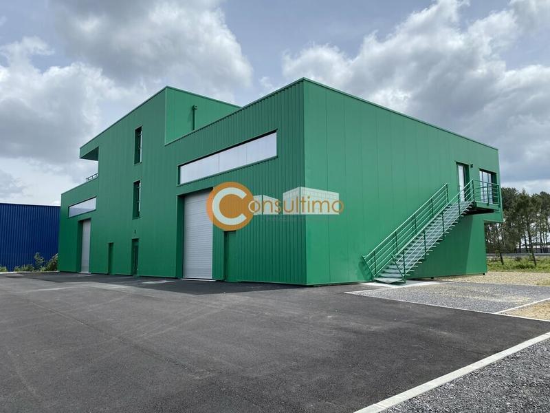 Local d'activité / Entrepôt - 782 m²