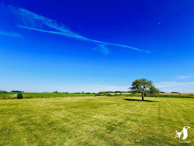 Maison - 169 m² - 7 pièces