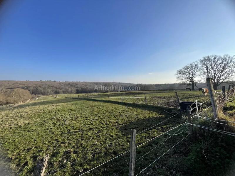 Maison - 230 m² - 6 pièces