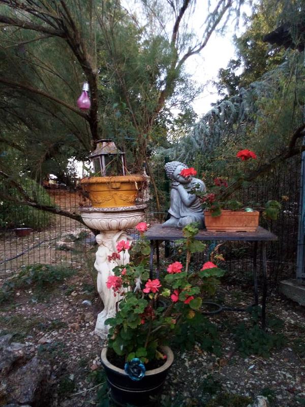 Association cheval-et/ Section  yoga/Relaxation /Bien être