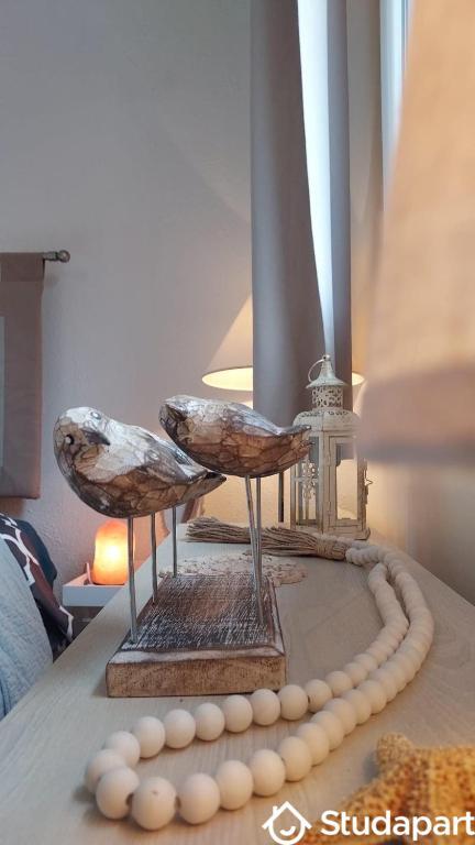 Appartement - 29 m² - 1 pièce