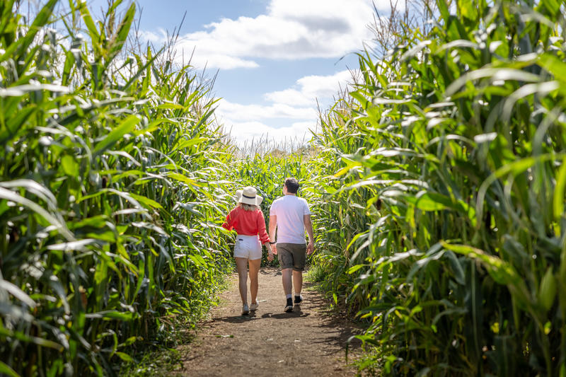 Ouverture du Labyrinthe de Beaugency