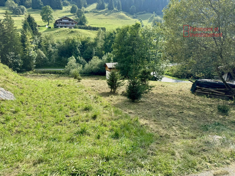 Terrain - 770 m²