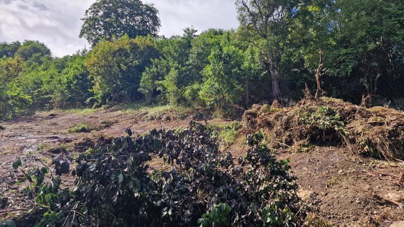 Terrain constructible - 897 m²