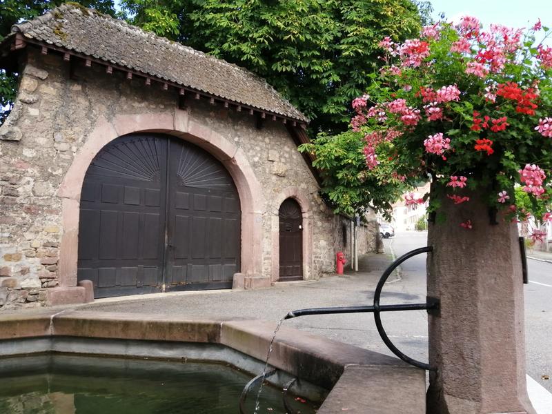 Visite guidée : balade entre histoire et nature