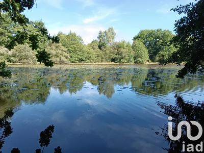 Terrain - 37 398 m²