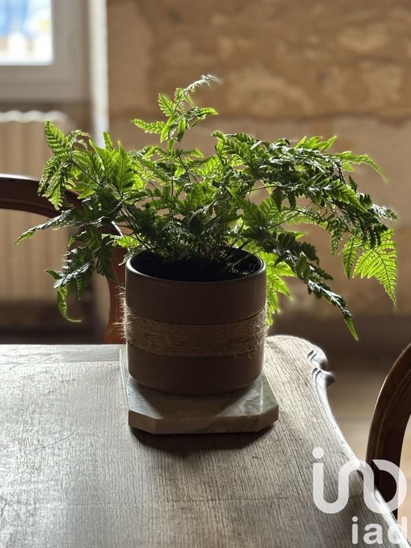 Maison - 220 m² - 6 pièces