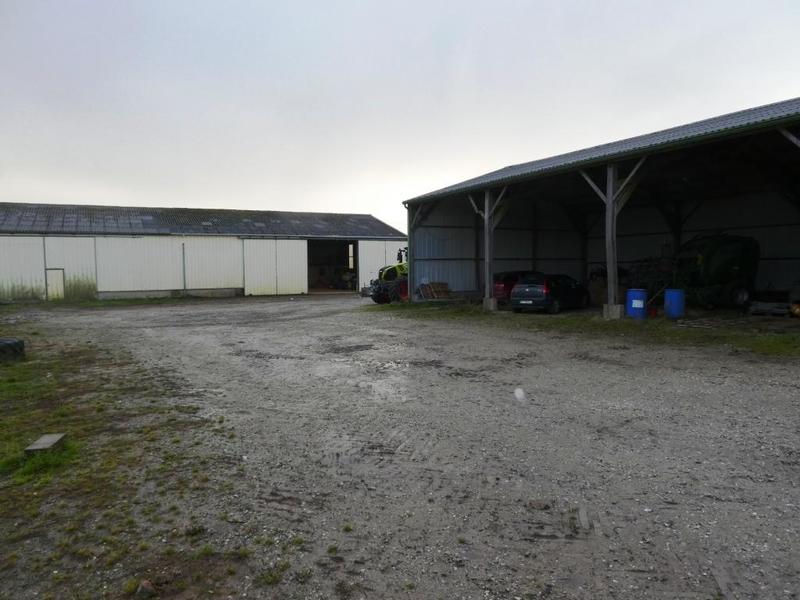 Local d'activité / Entrepôt - 900 m²