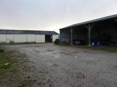 Local d'activité / Entrepôt - 900 m²