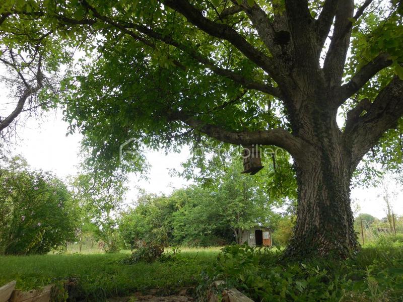 Maison en pierre - 148 m² - 6 pièces