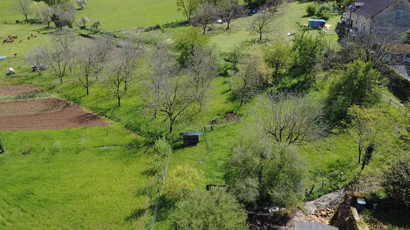 Maison - 245 m² - 10 pièces