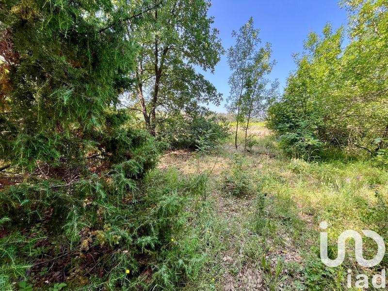 Terrain agricole - 12 527 m²