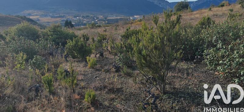 Terrain agricole - 5 805 m²