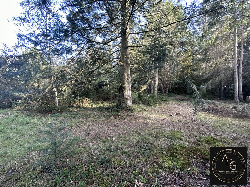 Terrain commercial - 5 982 m²