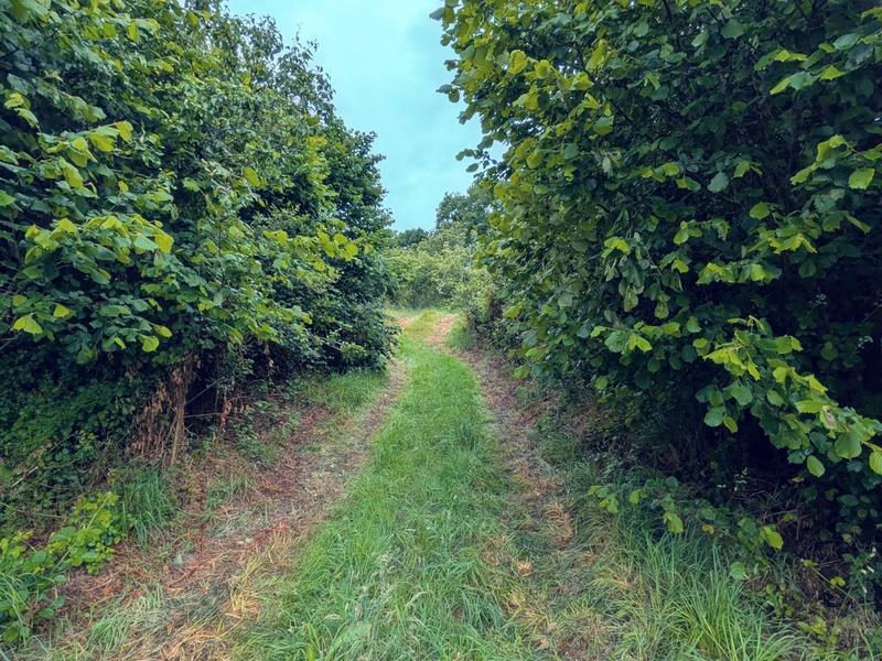 Longère - 115 m² - 5 pièces