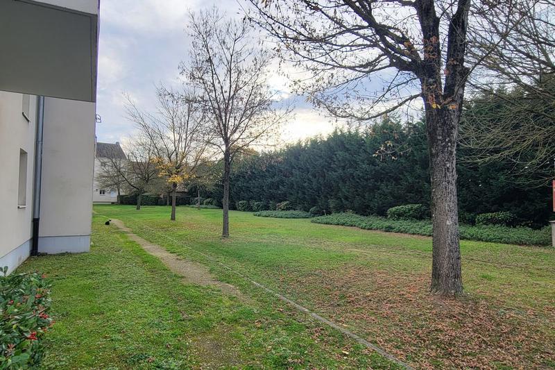 Appartement - 55 m² - 2 pièces