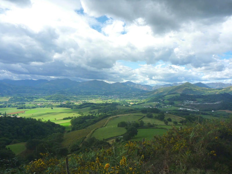 Sortie nature Cpie Pays Basque : "Balade jusqu'aux sources de la Bidouze"