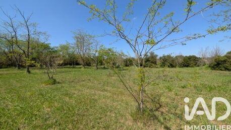 Maison - 200 m² - 7 pièces