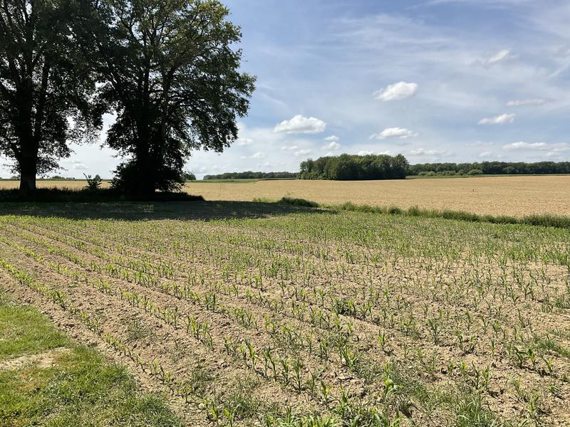 Fermette - 90 m² - 2 pièces