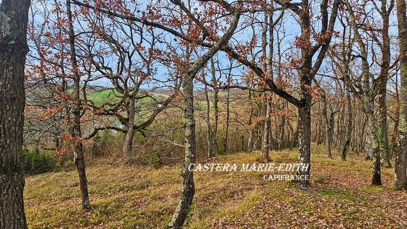 Maison - 280 m² - 9 pièces