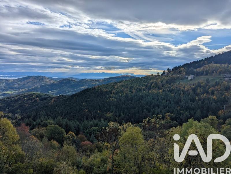 Appartement - 77 m² - 4 pièces