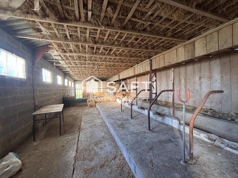 Maison - 126 m² - 5 pièces